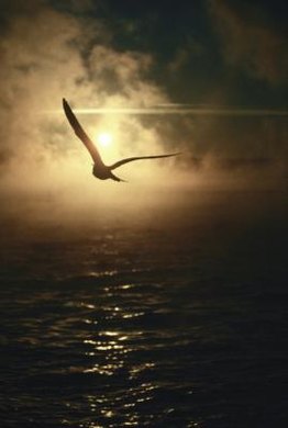 Ablestock.com/AbleStock.com/Getty Images Writers can use metaphors, as Emily Dickinson did with her association of hope as a bird, to make poems memorable.