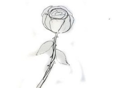 How to Draw a Rose Easily