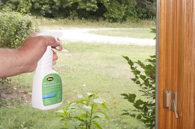 Clean the window again with film application solution.