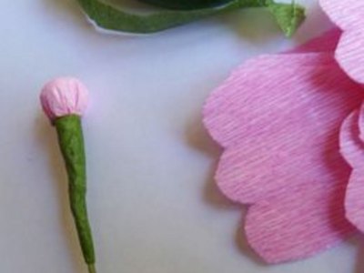 Cut out petals