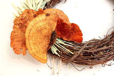 Attach sponge mushrooms