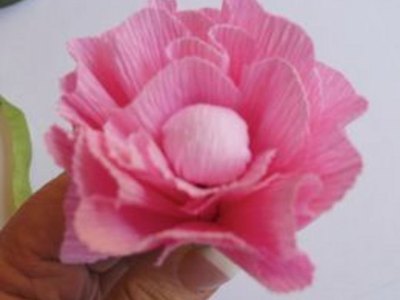 Partial peony