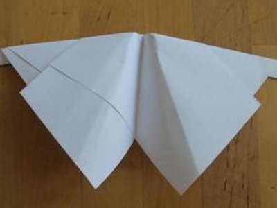 A moth-inspired paper airplane