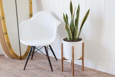 A mid-century plant stand is a stylish way to bring the outdoors in.