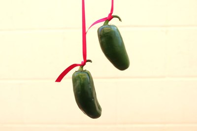 Make a chili pepper ribbon