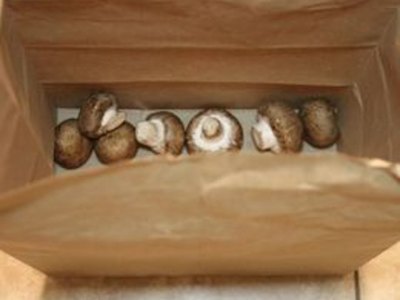 How to Keep Mushrooms Fresh
