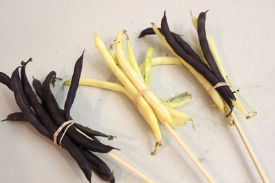 Bundle beans with rubber bands