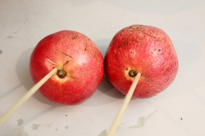 Put skewers in pomegranates