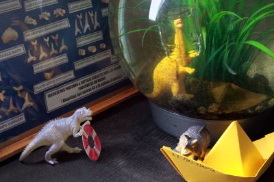 Life Aquatic
