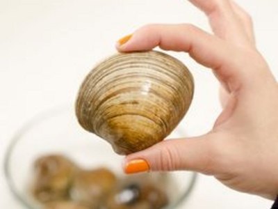 How to Clean Clams