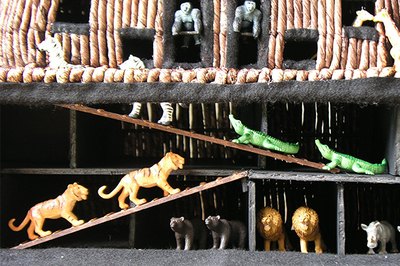 Animals can travel between decks.