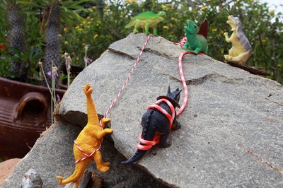 Rock Repellers