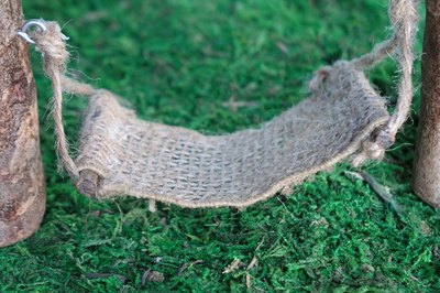 Hammock