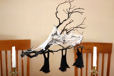Position the branch at the right height
