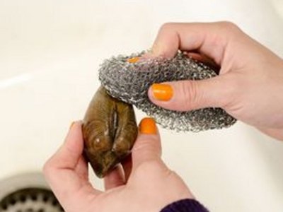 How to Clean Clams