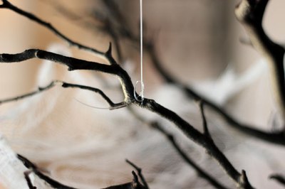Tie fishing line to the branch