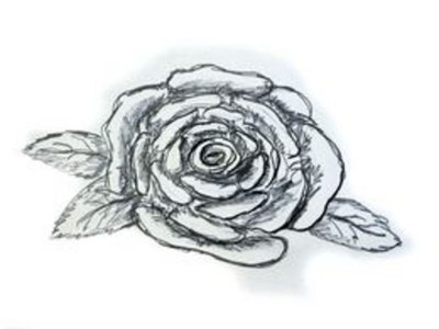 How to Draw a Rose Easily