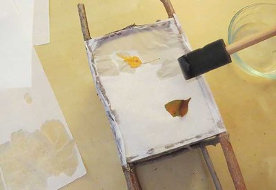 Dampen tissue paper.