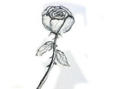How to Draw a Rose Easily