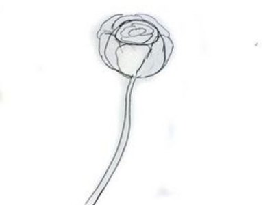 How to Draw a Rose Easily