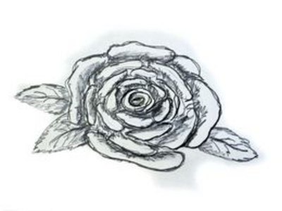 How to Draw a Rose Easily
