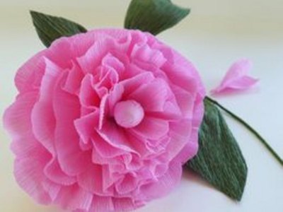Finished peony