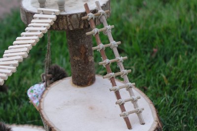 Ladder