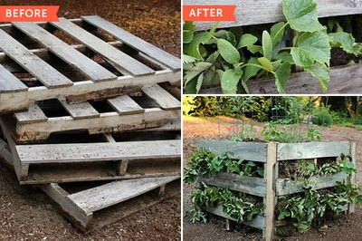 Building raised beds from pallets like this one is a relatively simple weekend project.