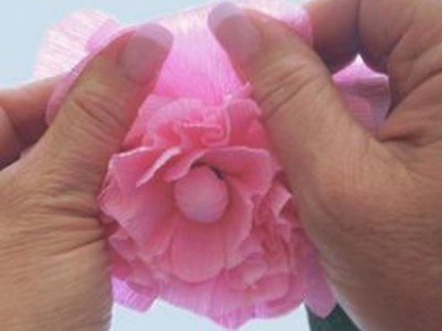 Shape the petals