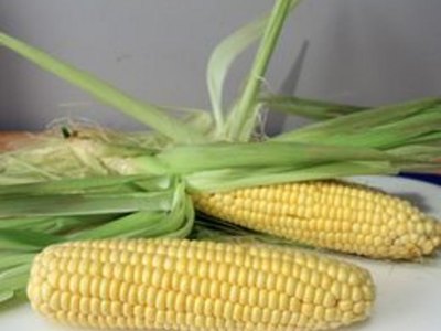 How to Cook Corn-on-the-Cob on the Stove