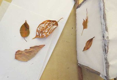 Glue leaves to tissue paper.