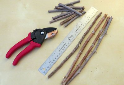 Cut twigs for structure.