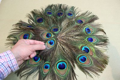 Cover the center with additional feathers.