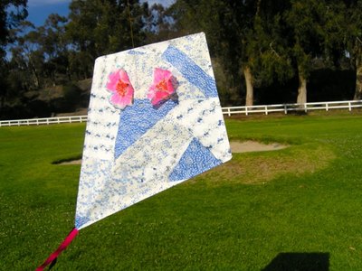 Go fly your kite!