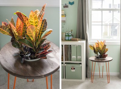 Planter tables put nature front and center.