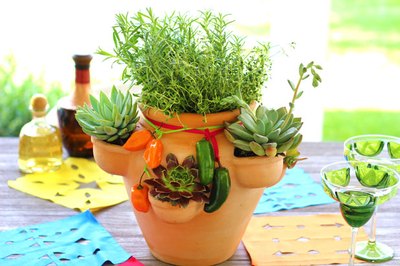 Herb and succulent garden centerpiece