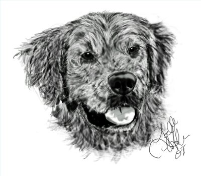 Draw a Golden Retriever Face