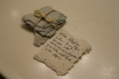 Make Paper From Plants