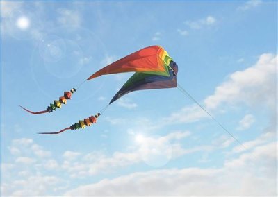 Parafoil kites