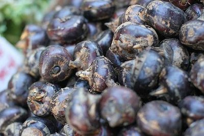 Water Chestnuts