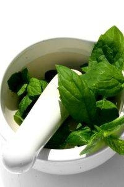 Pestle and mortar with leaves of peppermint