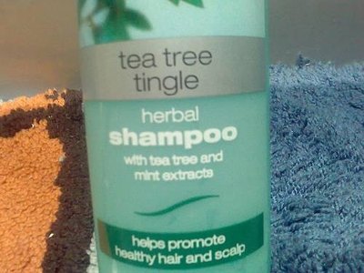 Tea tree shampoo