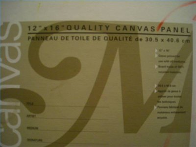 12 inch by 16 inch canvas