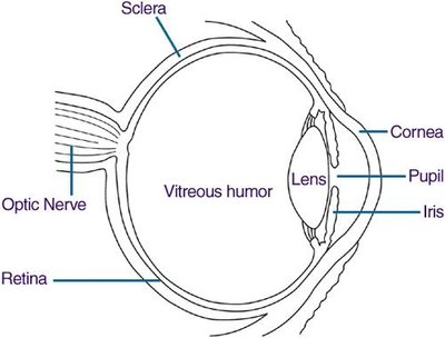 Corneal abrasions can be painful.