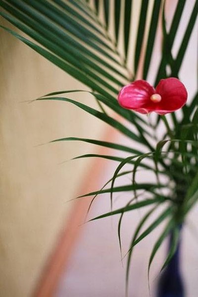 Don't use puny exotic flowers