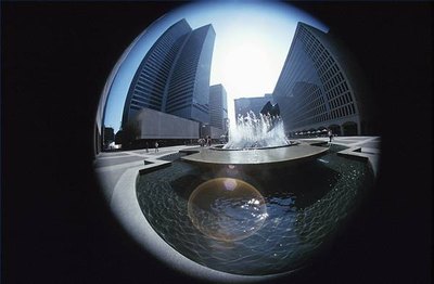 A mirrored globe might work