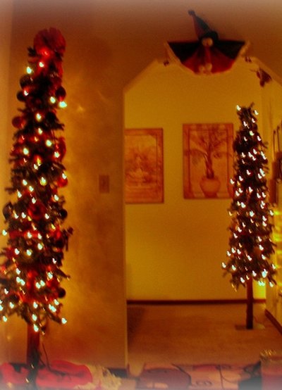 Thin trees / Photo: Pixie ala James on Flickr