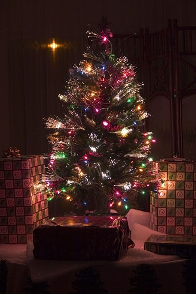 Fiber-optic lit tree / Photo: Wikimedia Commons