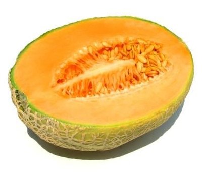 cantaloupe