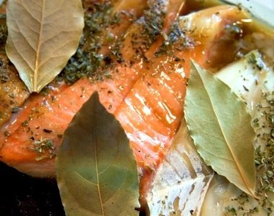 salmon